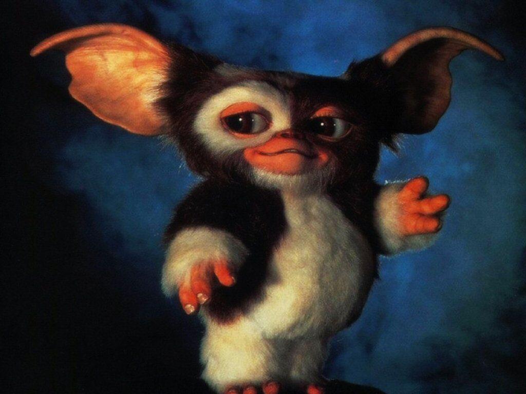 1024x768 Gizmo Gremlins Wallpaper
