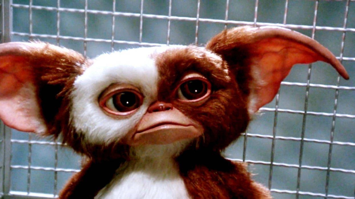 Gremlins Wallpapers - Top Free Gremlins Backgrounds - WallpaperAccess