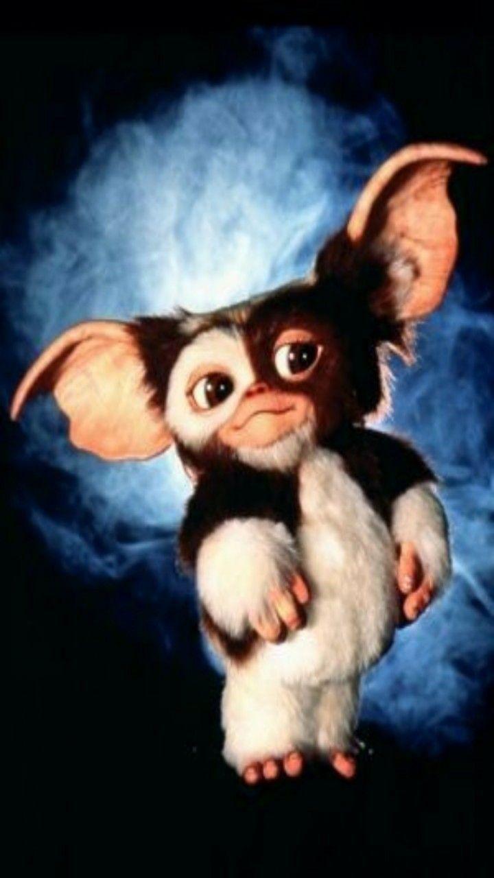 Gizmo Wallpapers Top Free Gizmo Backgrounds Wallpaperaccess