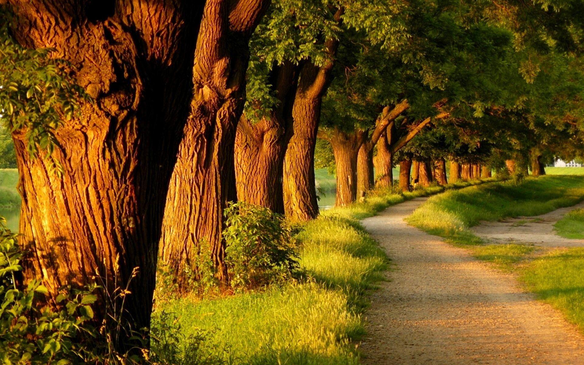 1920x1200 Soothing Desktop Background