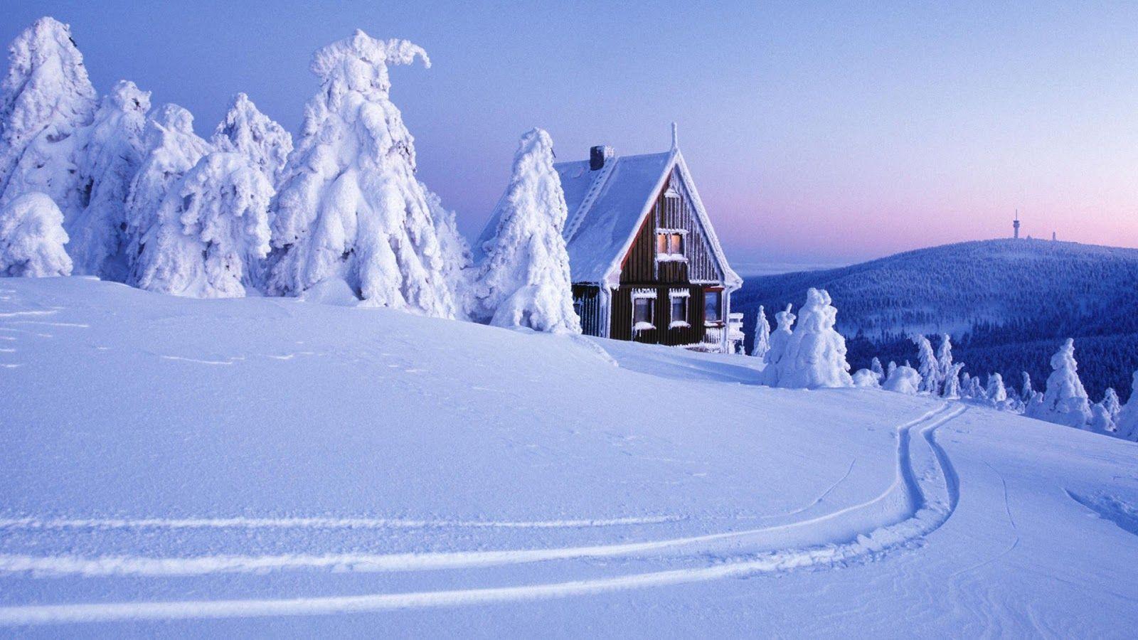 1600x900 Free download Snow Fall Wallpaper 4k HD Wallpaper Snowfall