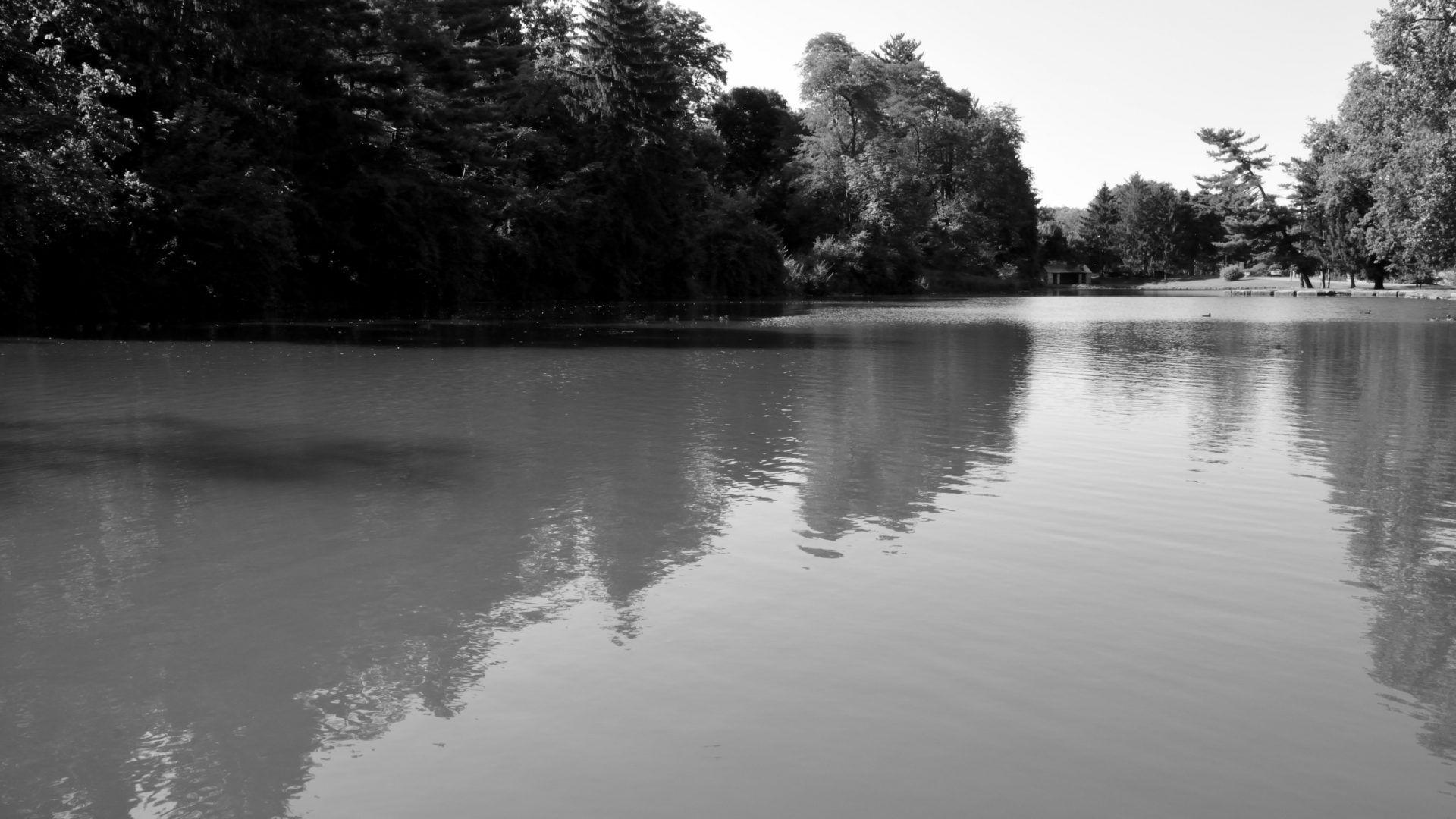 1920x1080 Relaxing Tag wallpaper: Soothing Scenery Tranquil Peaceful