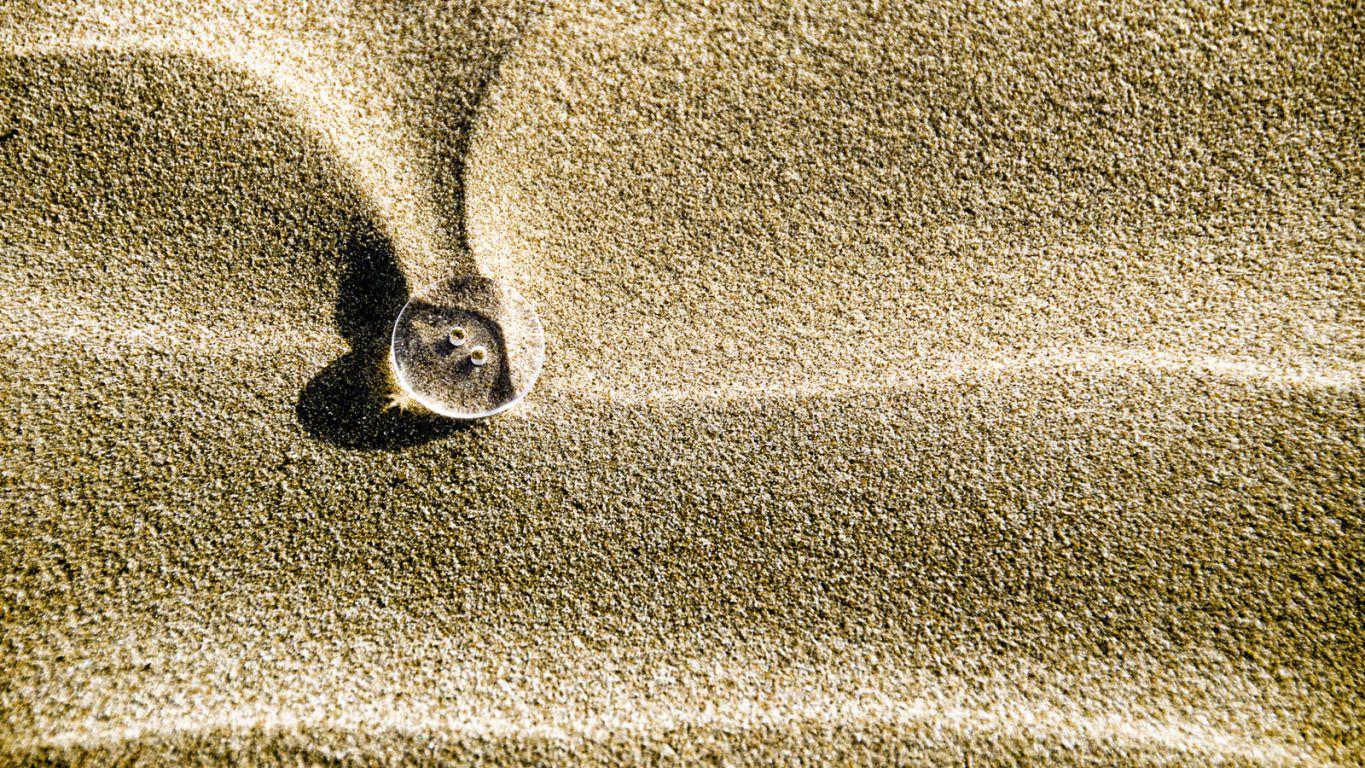 1365x768 Lost Treasure Wallpaper. Lost