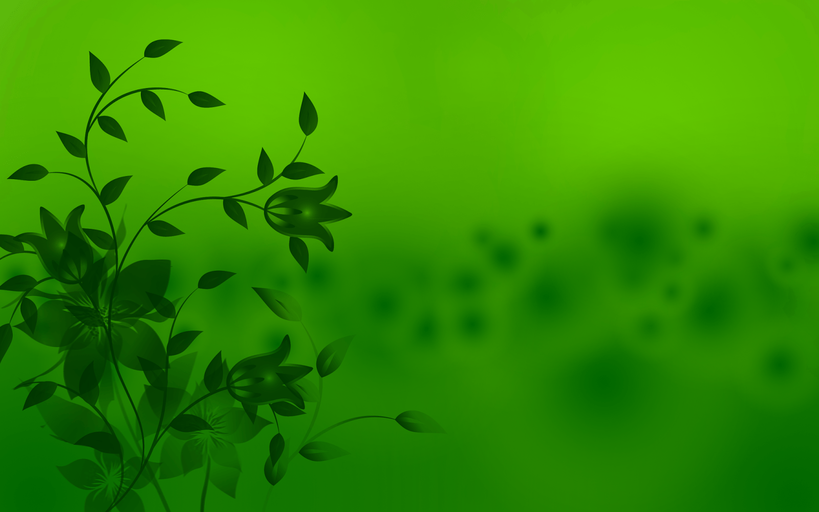 1600x1000 All in Wallpaper, Islamic Wallpaper, Others Wallpaper
