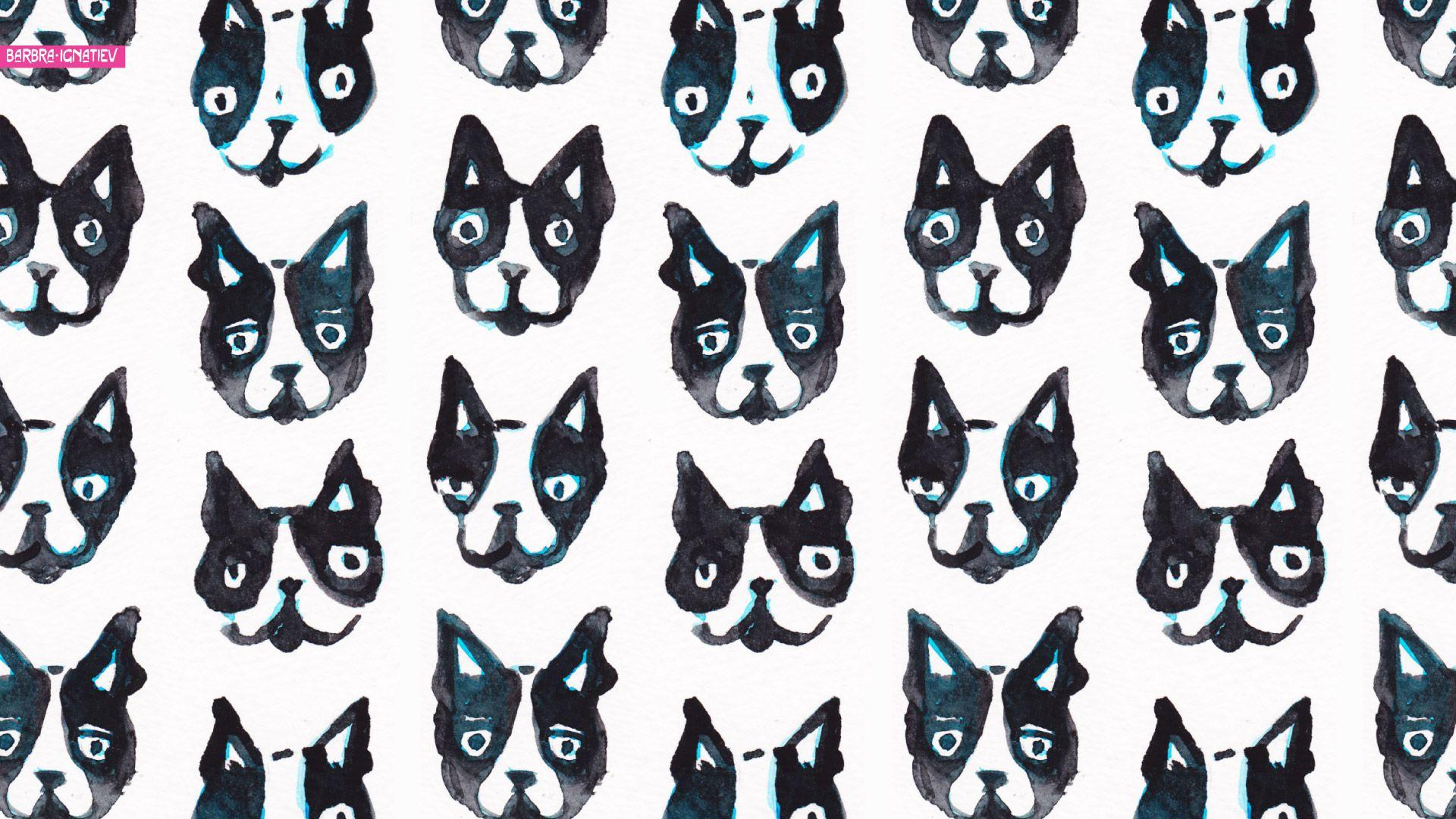 1920x1080 Amazing Pics. Boston Terrier HD Wallpaper