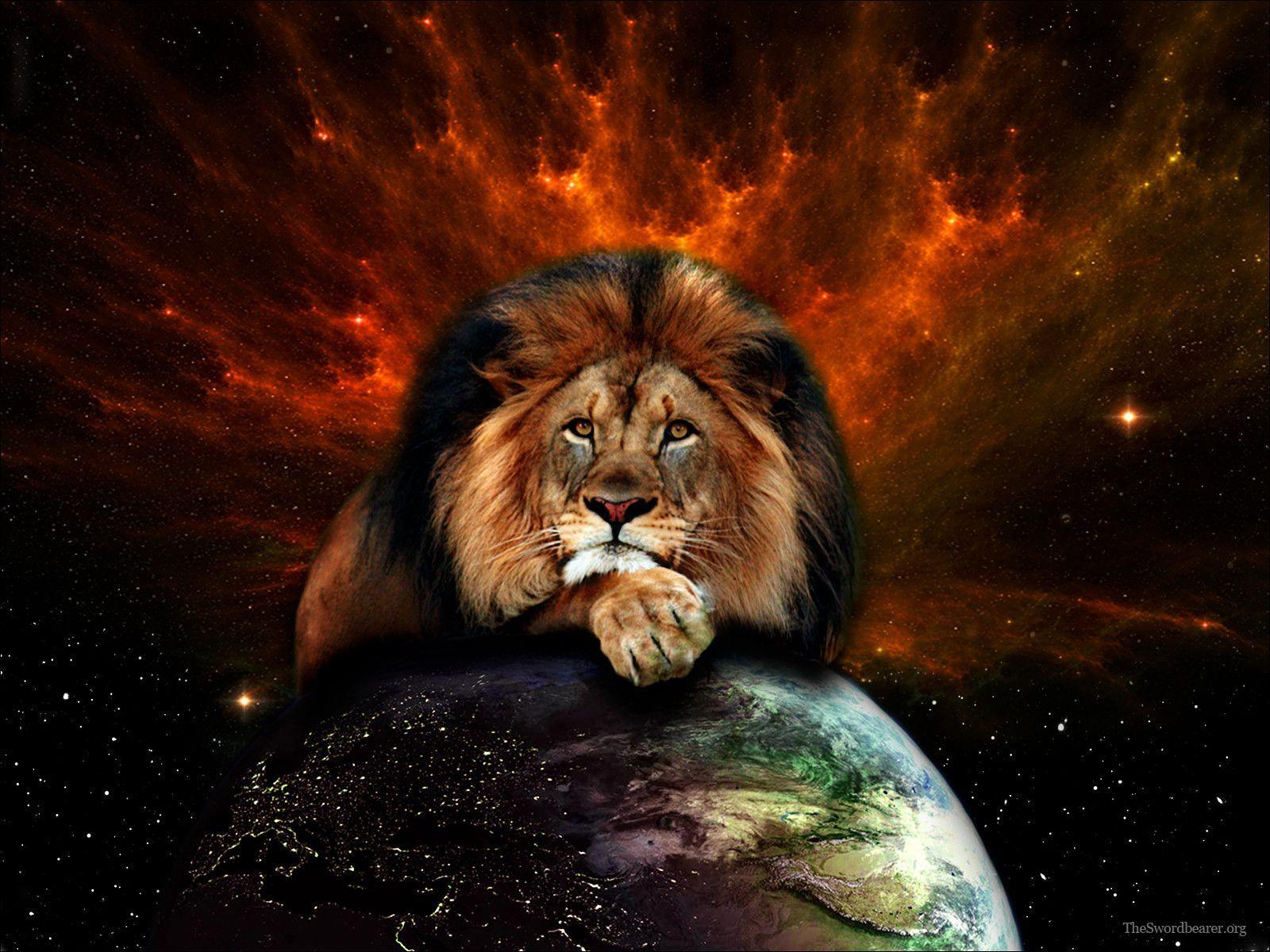 Lion of Judah Wallpapers - Top Free Lion of Judah Backgrounds -  WallpaperAccess