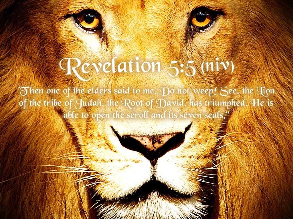 Lion of Judah Wallpapers - Top Free Lion of Judah Backgrounds