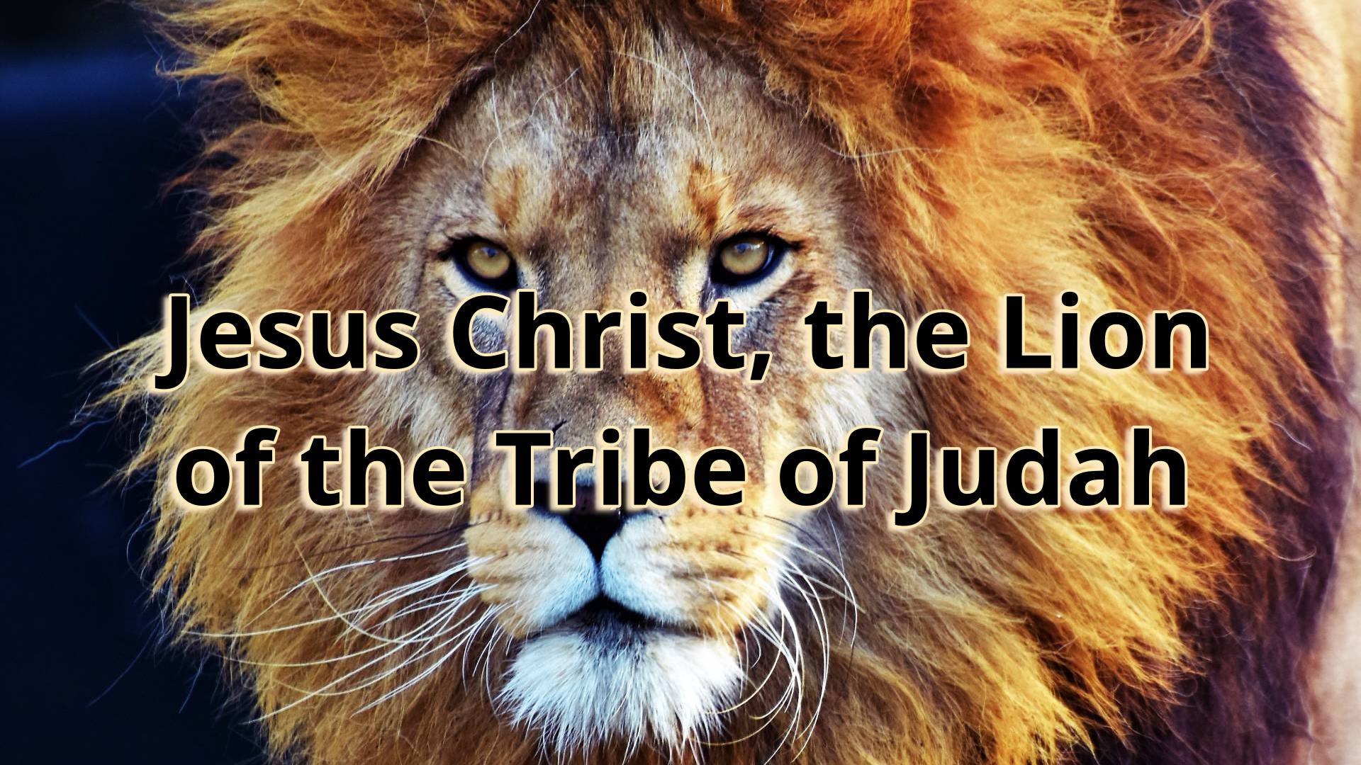 Lion of Judah Wallpapers - Top Free Lion of Judah Backgrounds