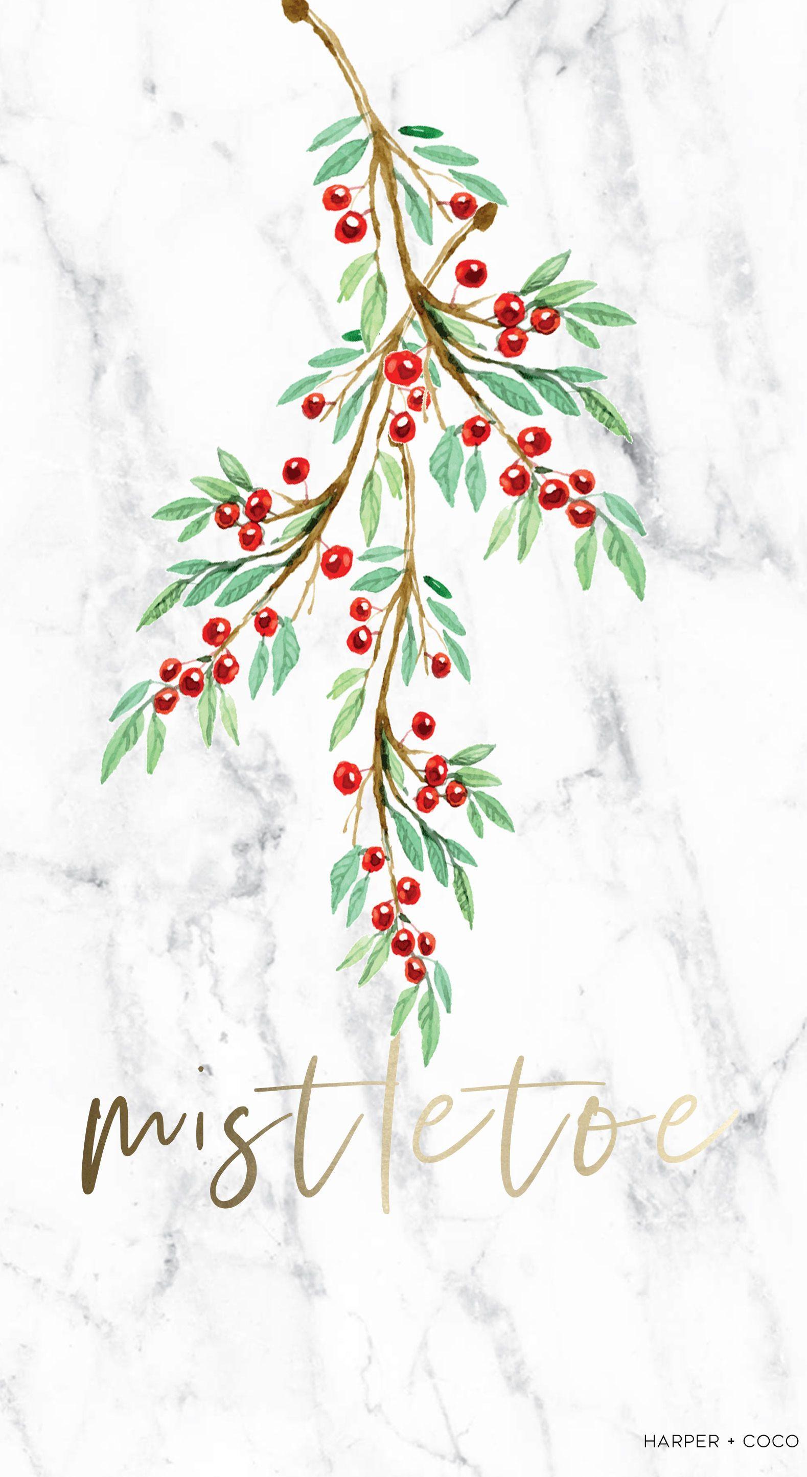 Merry christmas mistletoe with berry traditional Vector Image