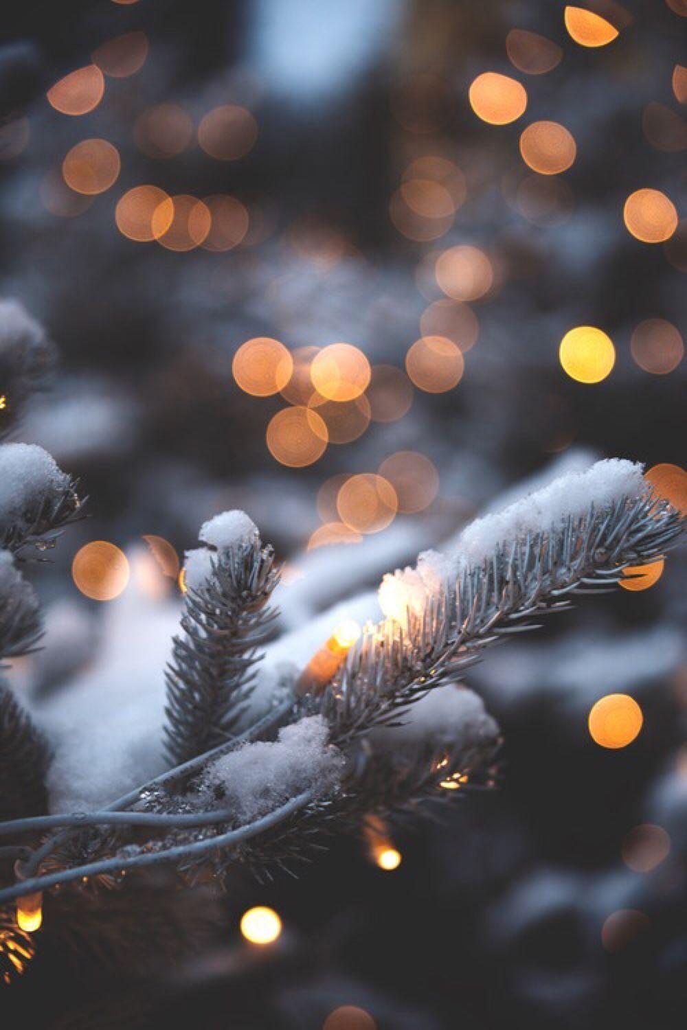 1000x1500 Just Kiss Me Under the Mistletoe. Christmas wallpaper