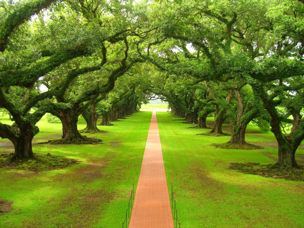 1024x768 Soothing Wallpaper