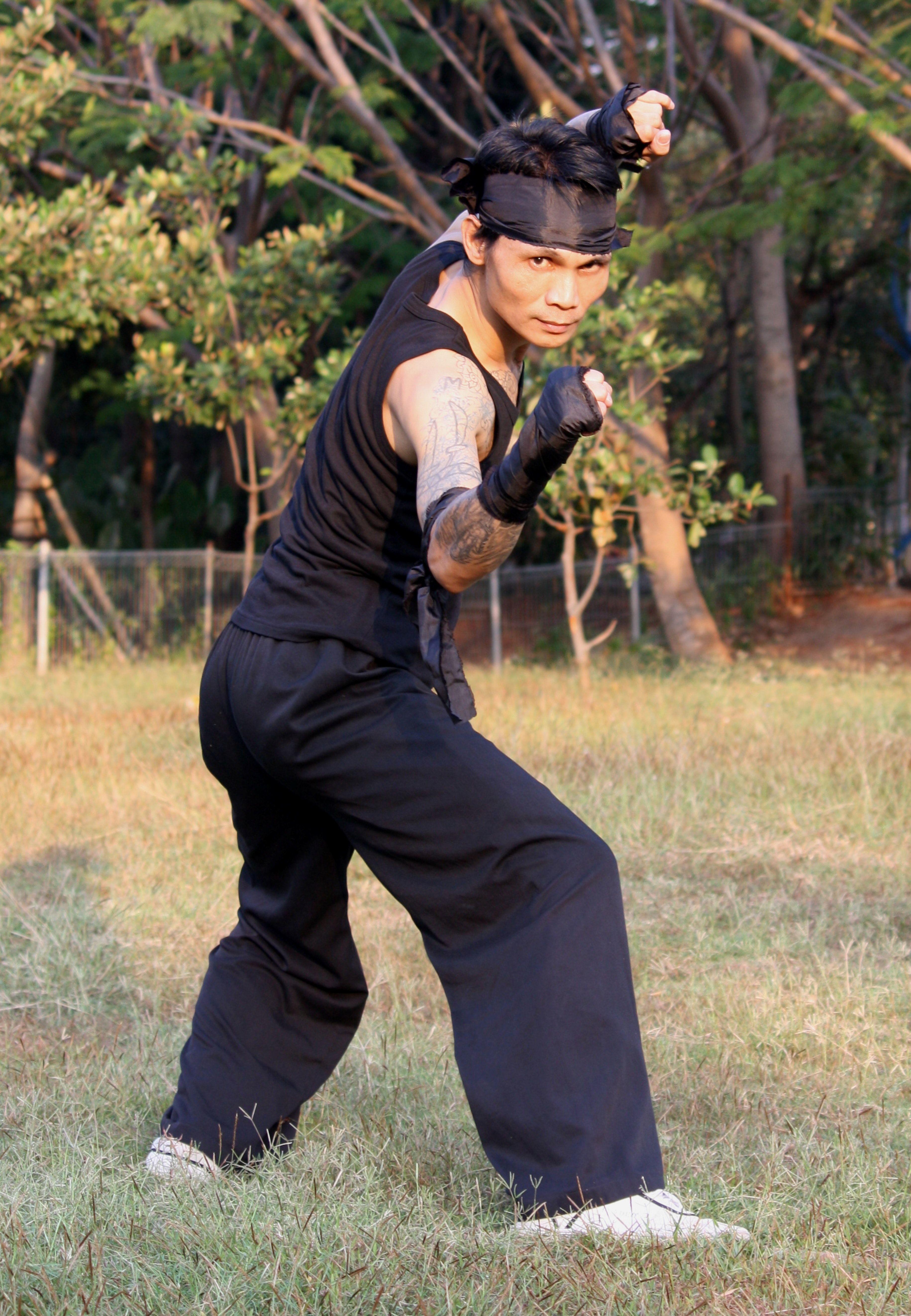 3662x5292 Free of kung fu, martial arts, silat