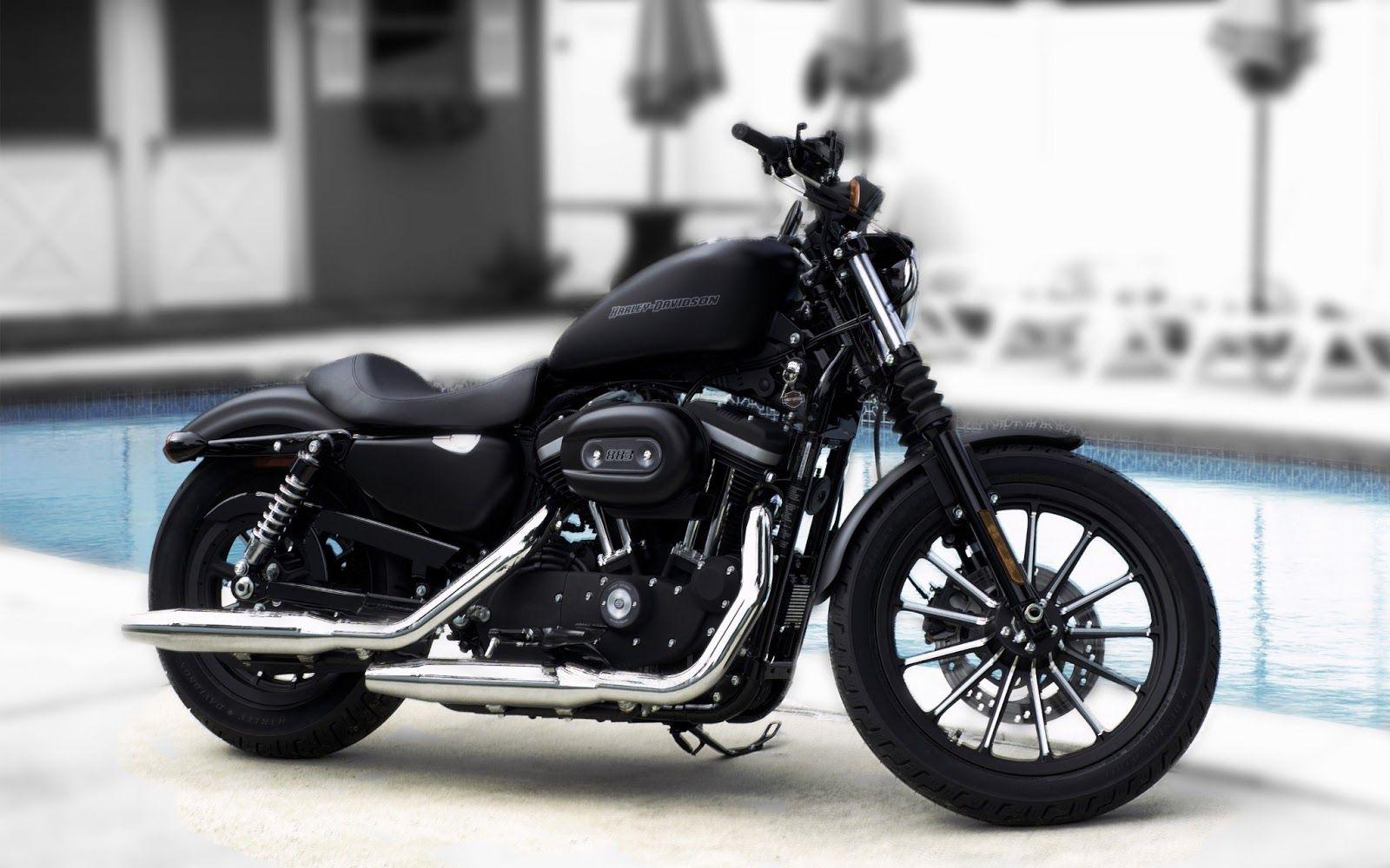1600x1000 Iron 883 Wallpaper