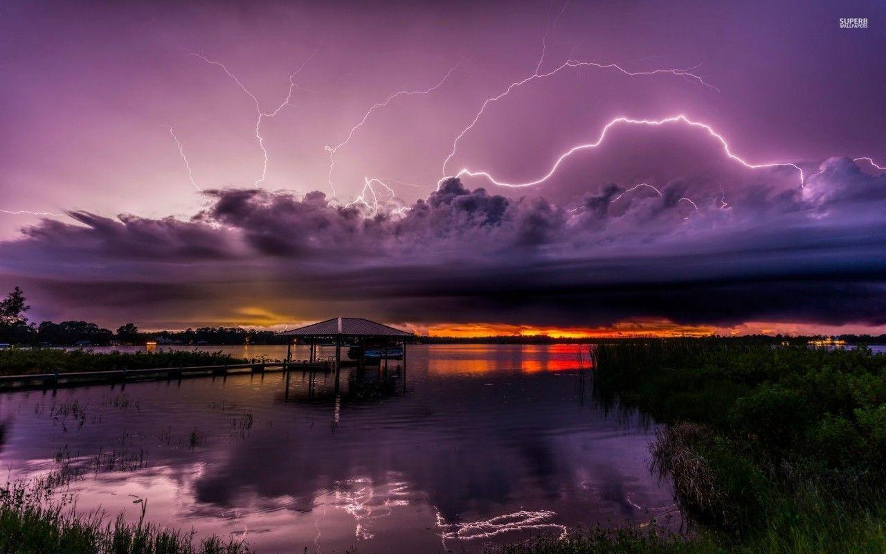 1280x800 Lake Grass Bushes Purple Storm wallpaper. Lake Grass
