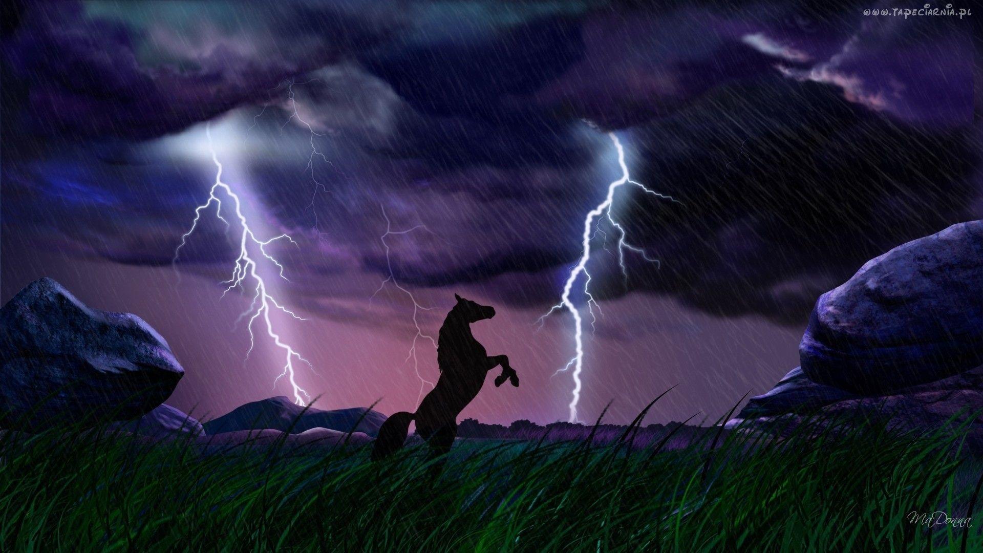 1920x1080 Download Wallpaper, Download 1920x1080 animals storm horses