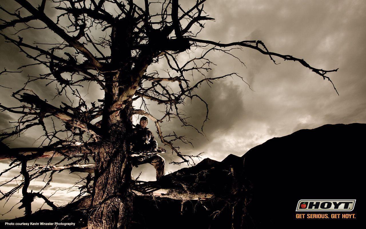 Hoyt Recurve Wallpaper