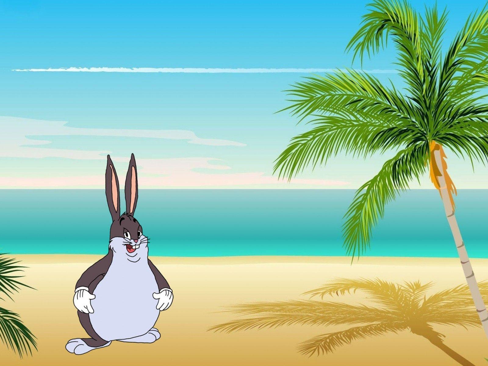 Big Chungus Wallpapers Top Free Big Chungus Backgrounds WallpaperAccess