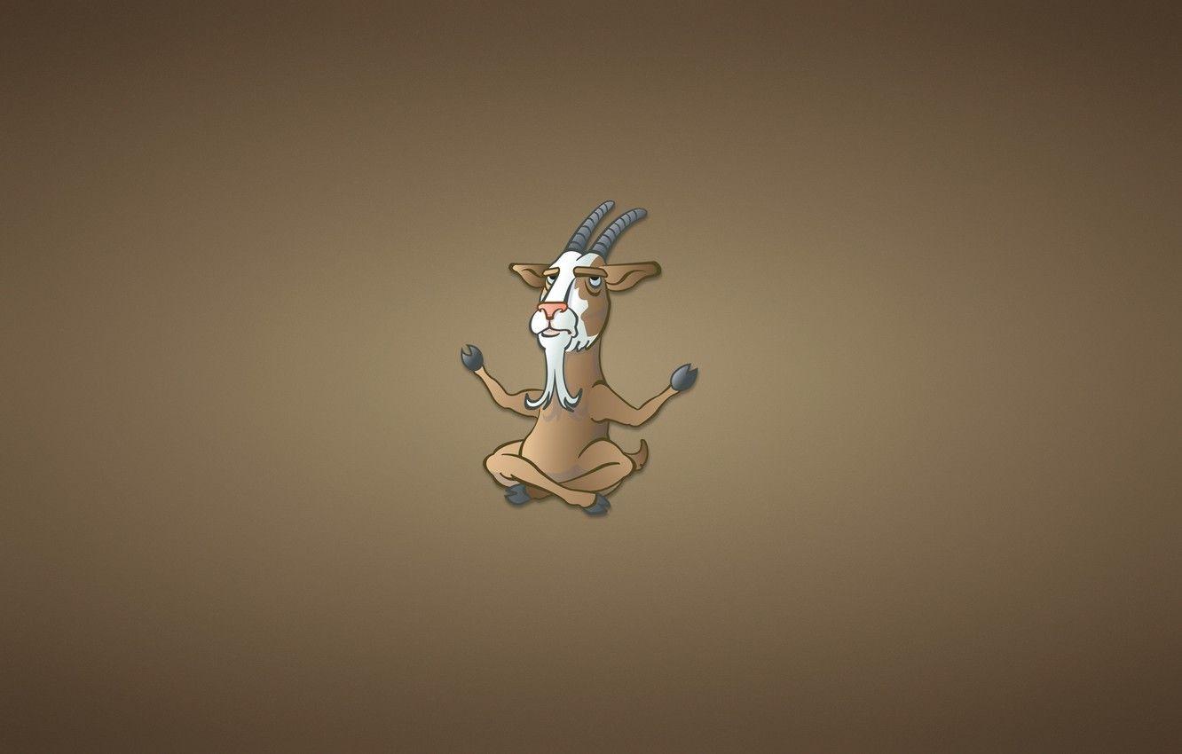 1332x850 Wallpaper calm, goat, minimalism, horns, beard, Buddha, goat image for desktop, section минимализм