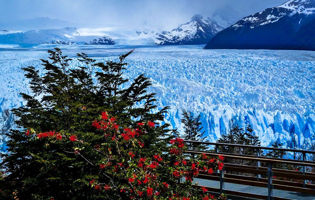 1280x811 Picture Argentina Patagonia Nature Mountains Snow Scenery Shrubs