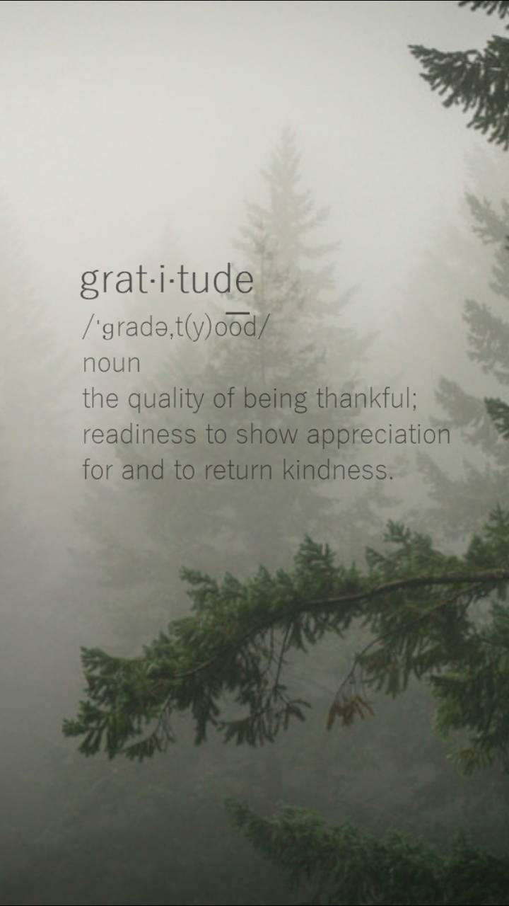 Gratitude Wallpapers - Top Free Gratitude Backgrounds - WallpaperAccess