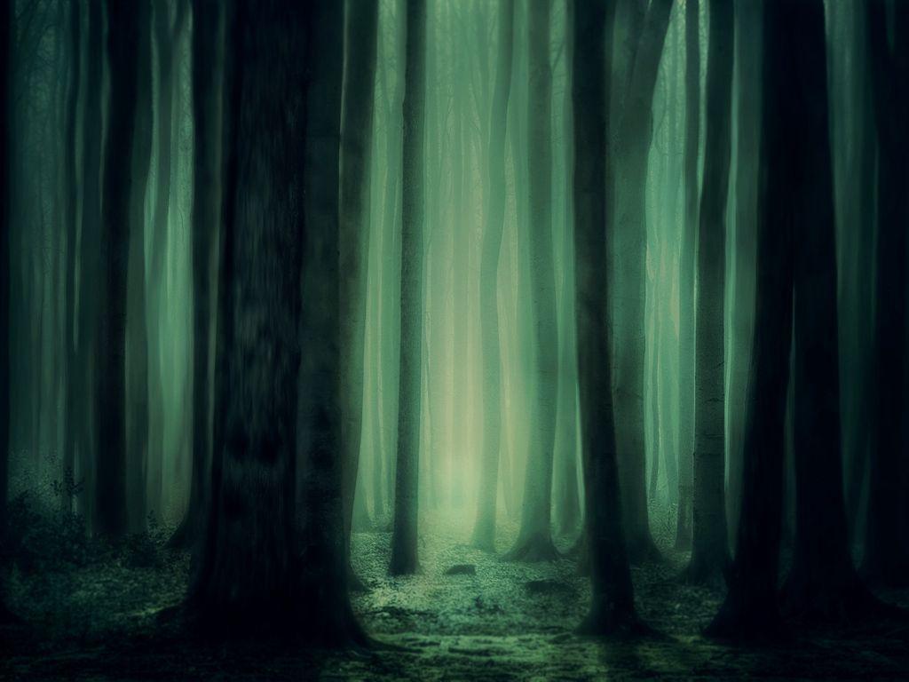 1024x768 Download wallpaper 1024x768 forest, fog, trees, dark, gloomy