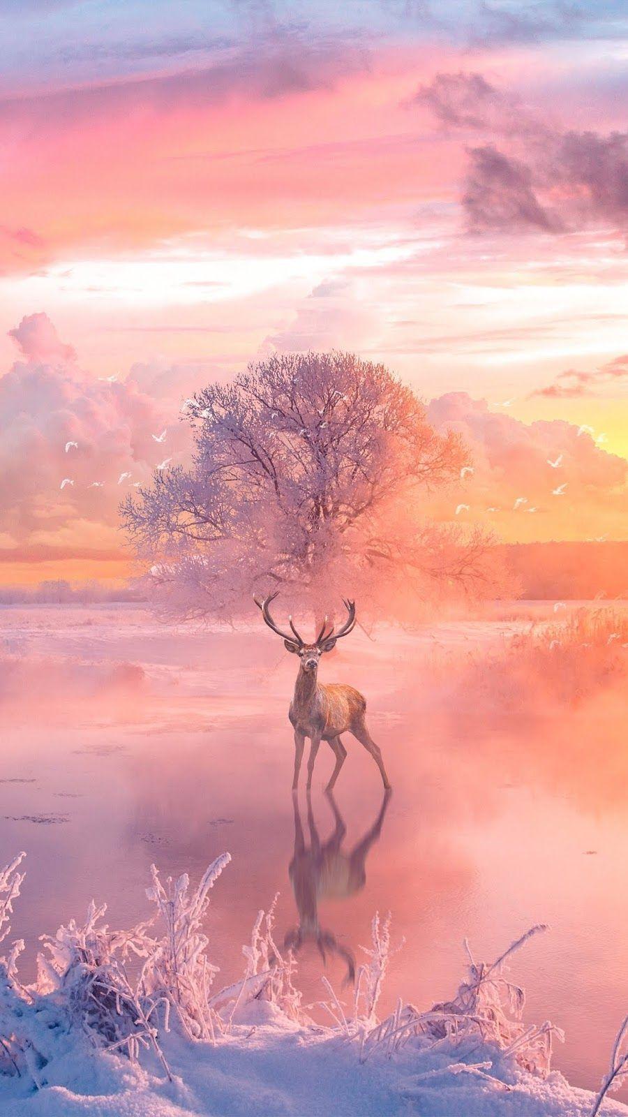 900x1600 Natural life. Android art, Nature wallpaper, Phone background