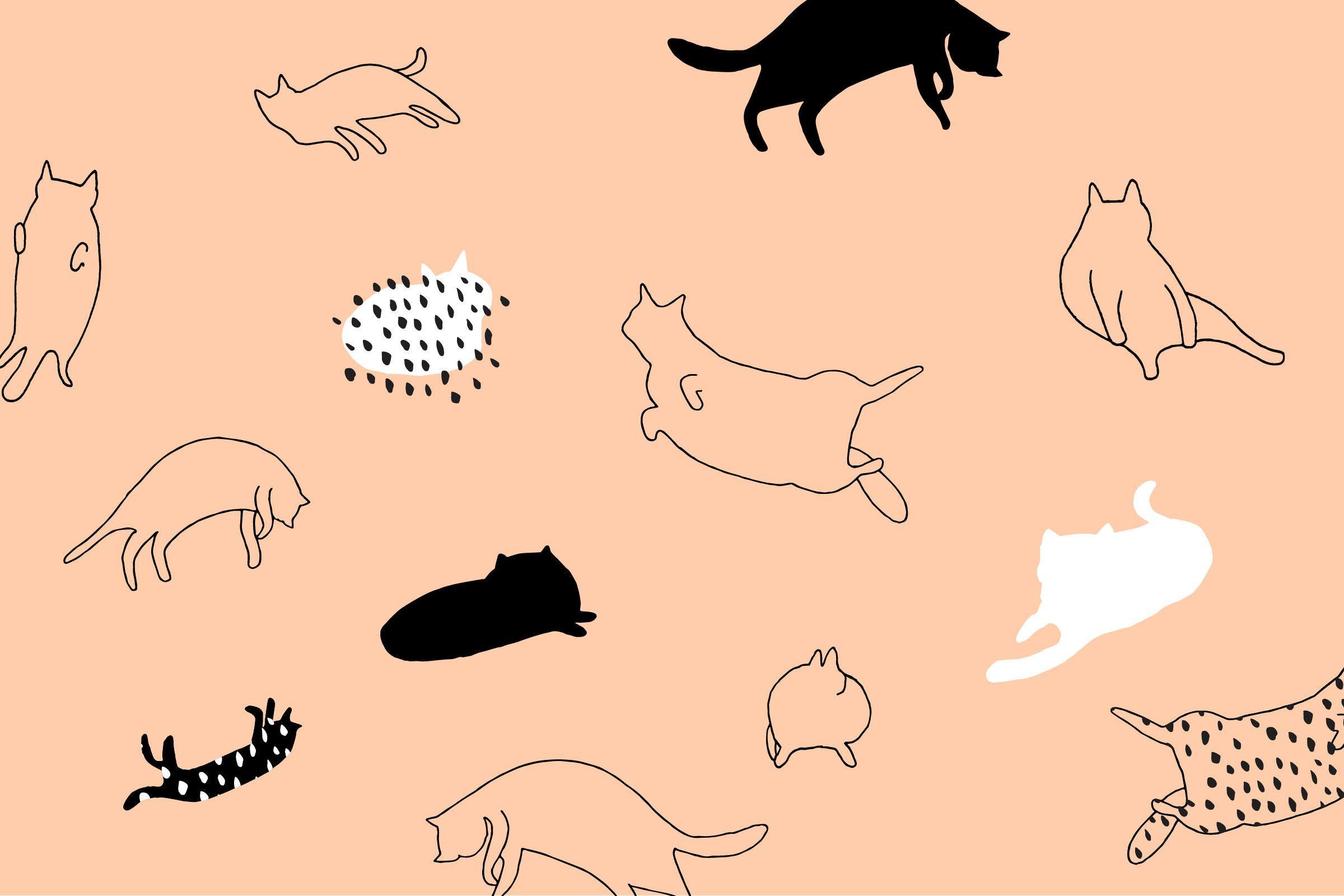 2400x1600 Wallpaper!