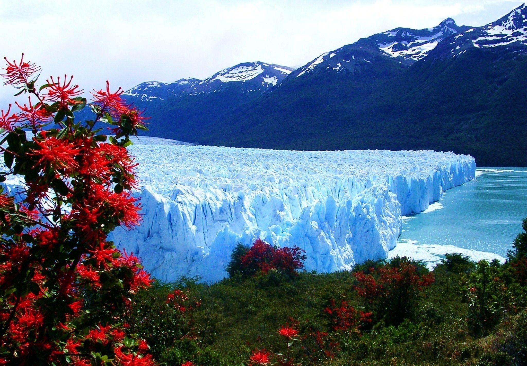 Argentina Scenery Wallpapers Top Free Argentina Scenery Backgrounds Wallpaperaccess 