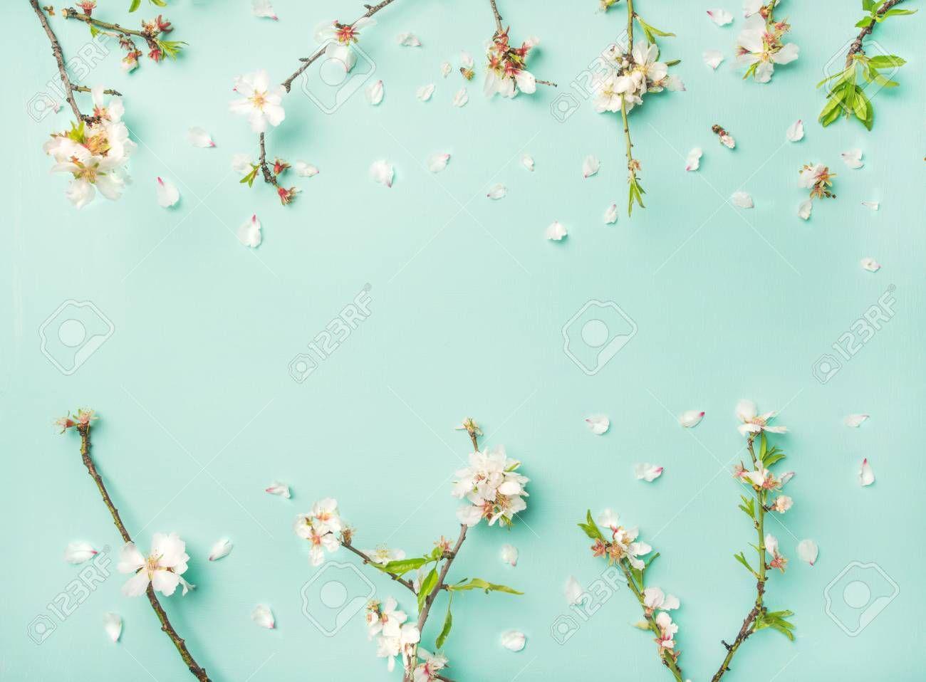 Flat Lay Wallpapers - Top Free Flat Lay Backgrounds - WallpaperAccess