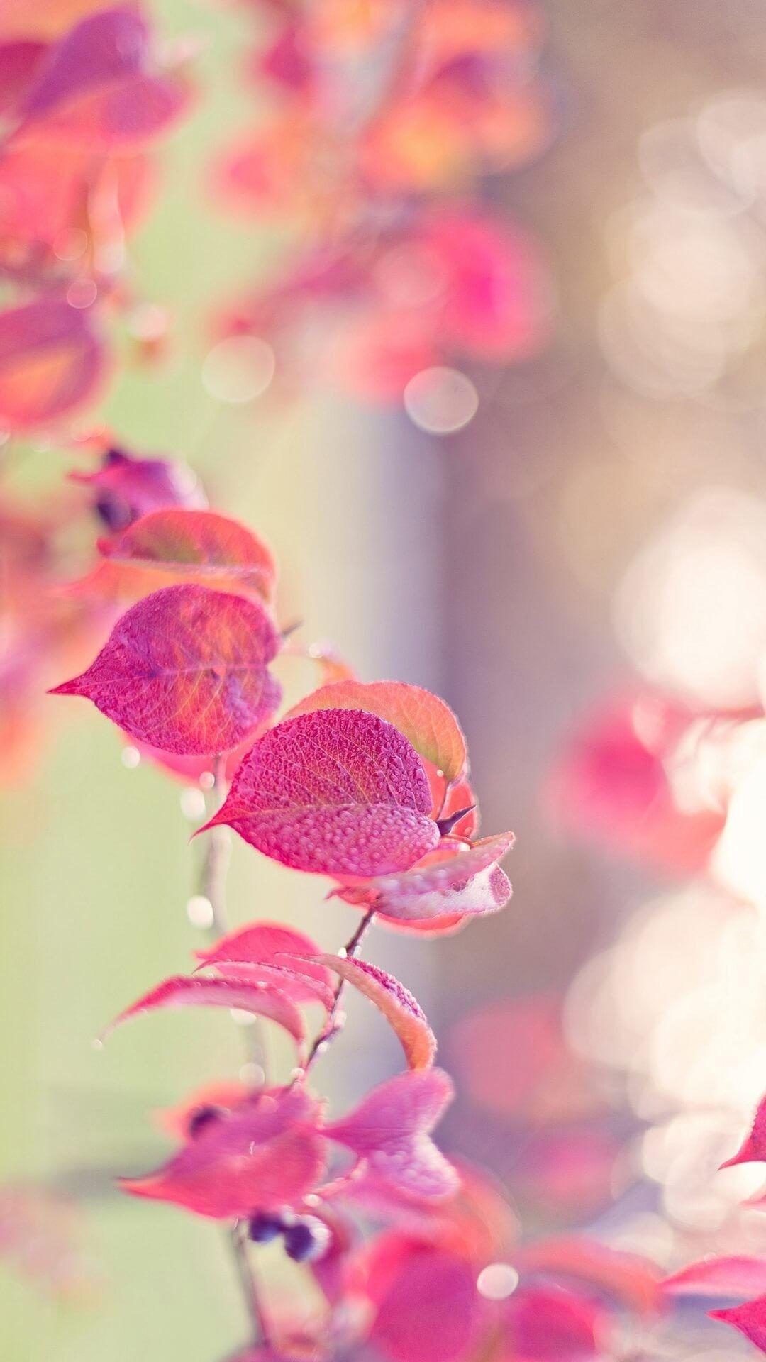 1080x1920 Girly iPhone Wallpaper