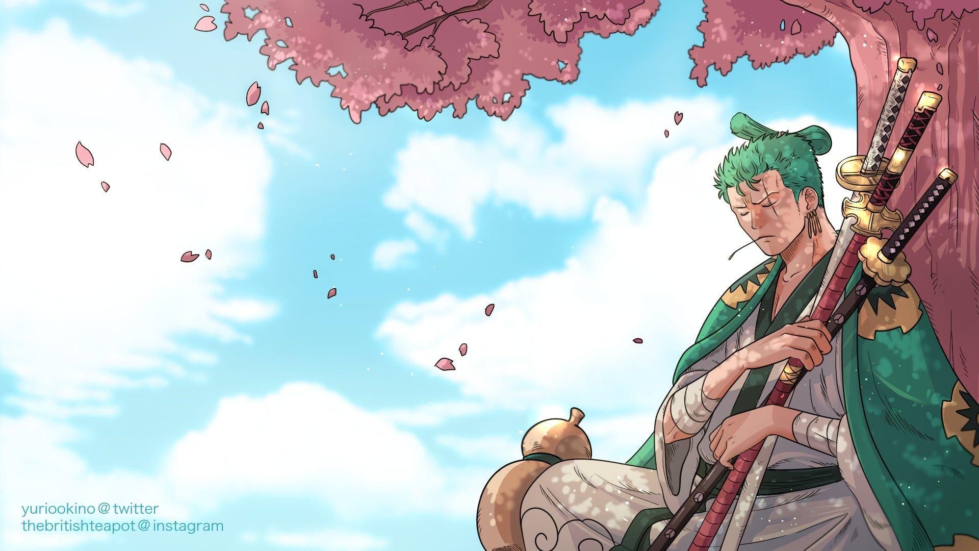 Zoro Wano Wallpapers - Top Free Zoro Wano Backgrounds ...