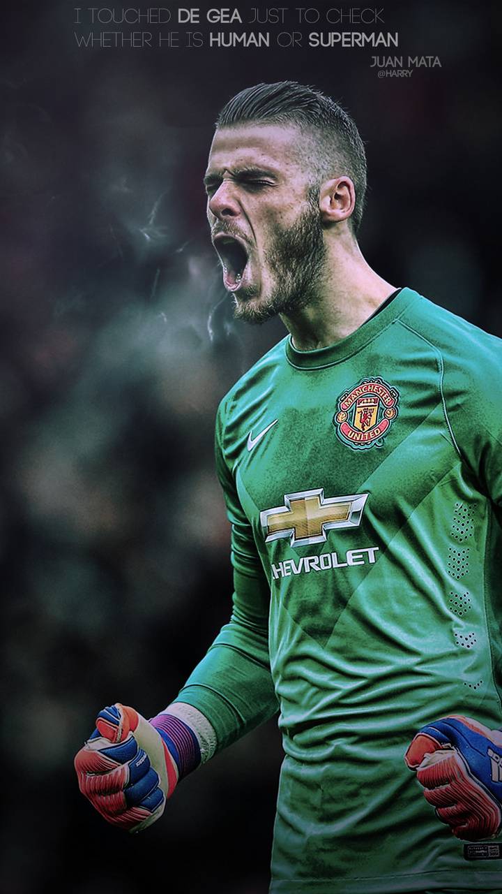 David De GEA Wallpapers - Top Free David De GEA Backgrounds ...