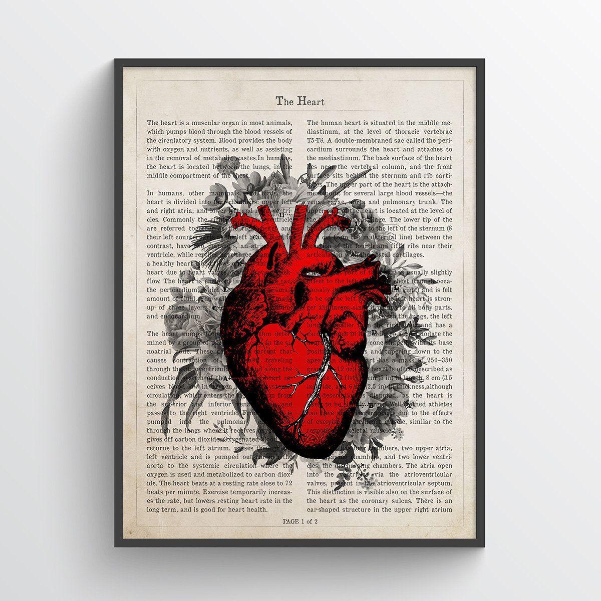 Cardiology Wallpapers - Top Free Cardiology Backgrounds - WallpaperAccess