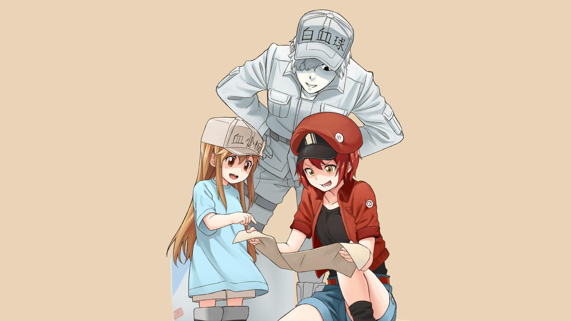 Anime Cells at Work! HD Wallpaper by つなまょ