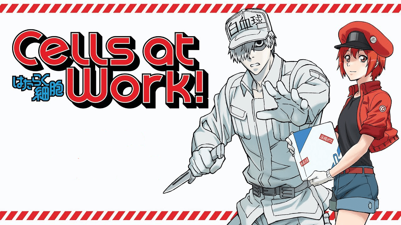 Cells At Work Wallpapers Top Free Cells At Work Backgrounds Wallpaperaccess 8232