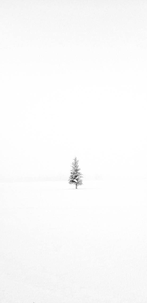 Minimalist winter iphone HD wallpapers  Pxfuel