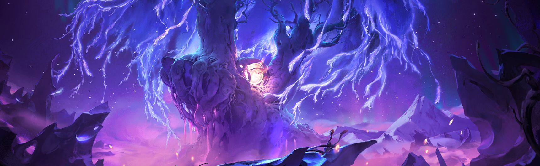 1720x530 NAFES - نافس. Compete
