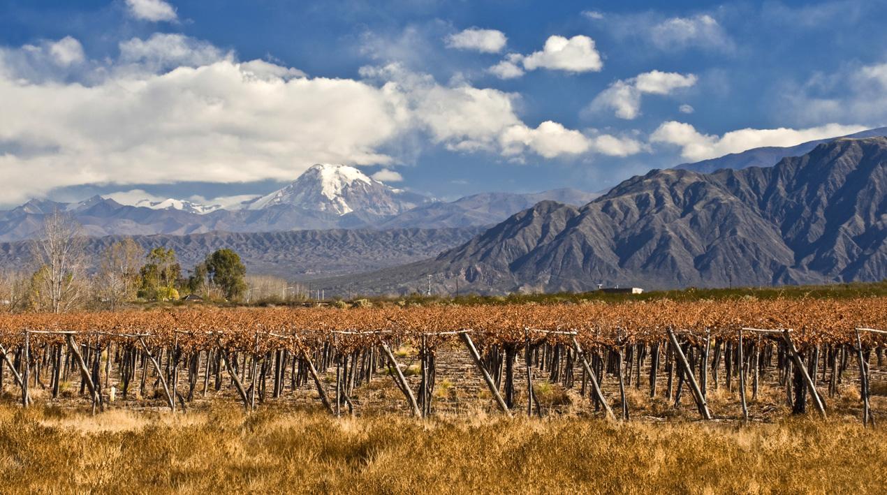 1270x709 Buenos Aires, Mendoza & Santiago Wine Tour