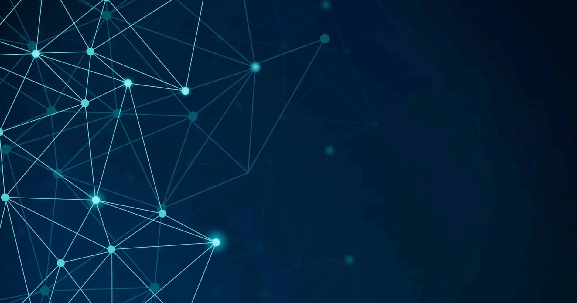 1900x1000 Expert EHR & EMR Consulting Company