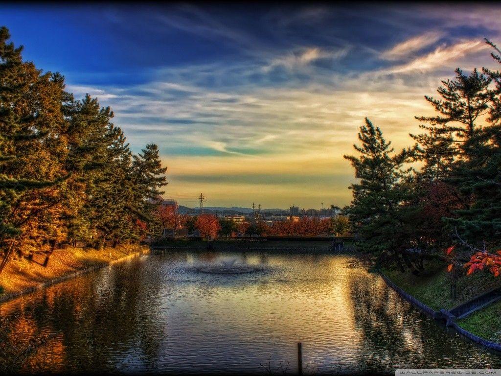 1024x768 Tokyo Tag wallpaper: Shinjuku Blossoms Japan Flowers Japanese