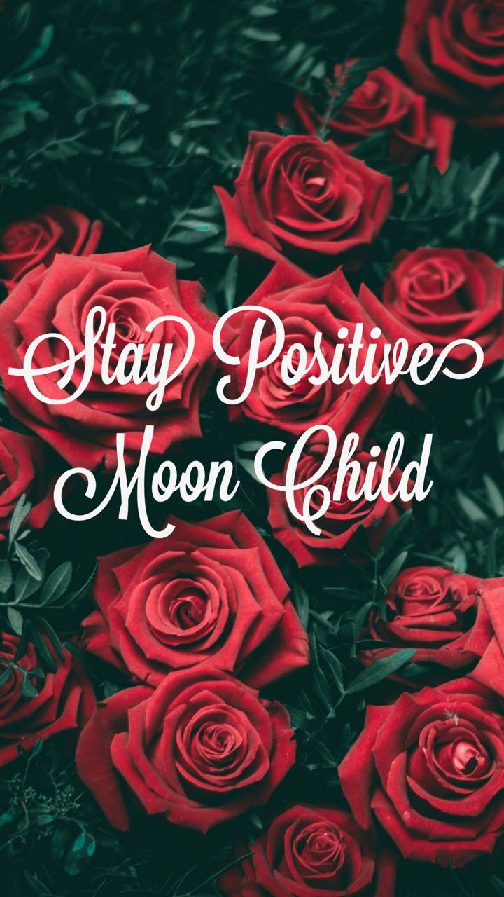 720x1280 Positive Vibes Only wallpaper