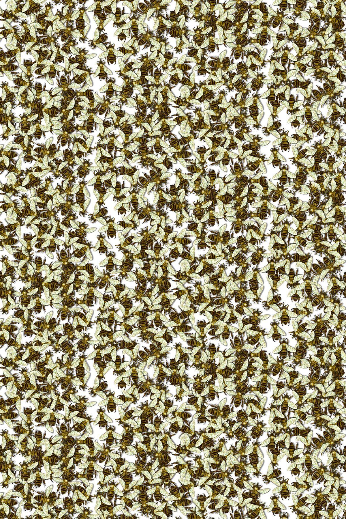 1200x1798 Timorous Beasties Wallcoverings Honey Bee Allover