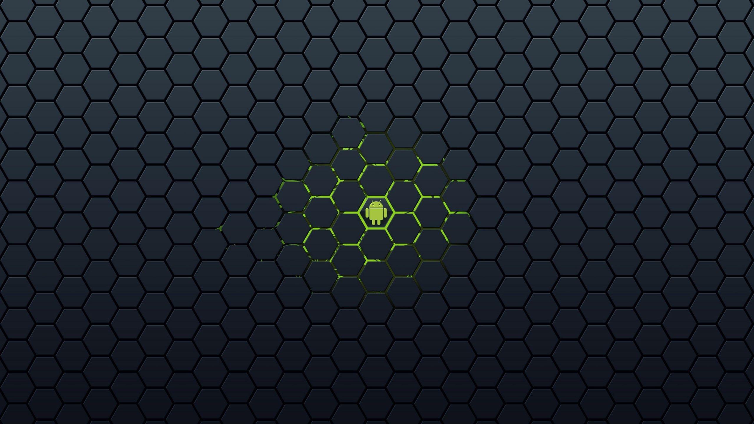 2560x1440 Android Honeybee Wallpaper 00629