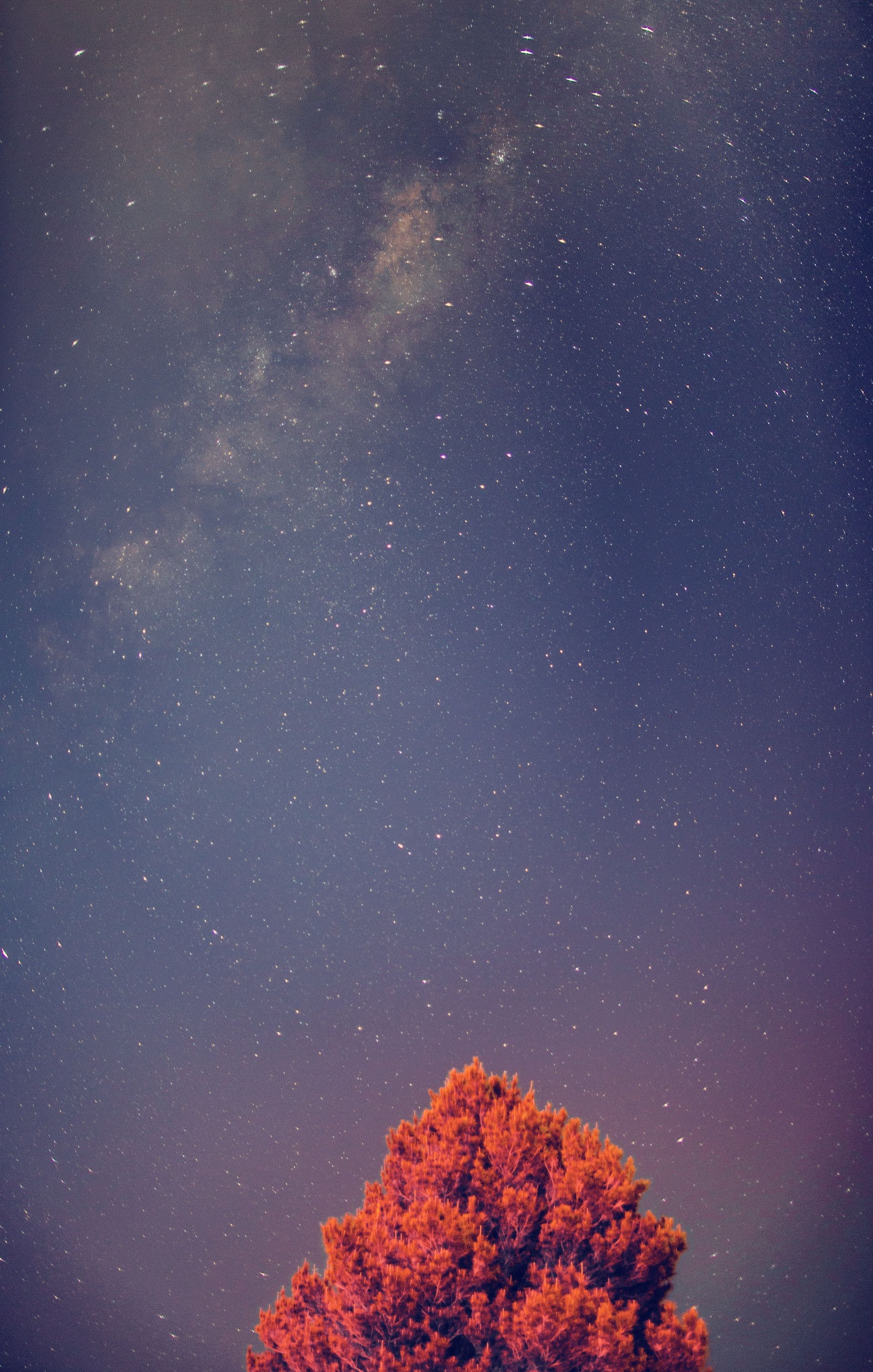 1920x3017 HD Milky Way Phone Wallpaper