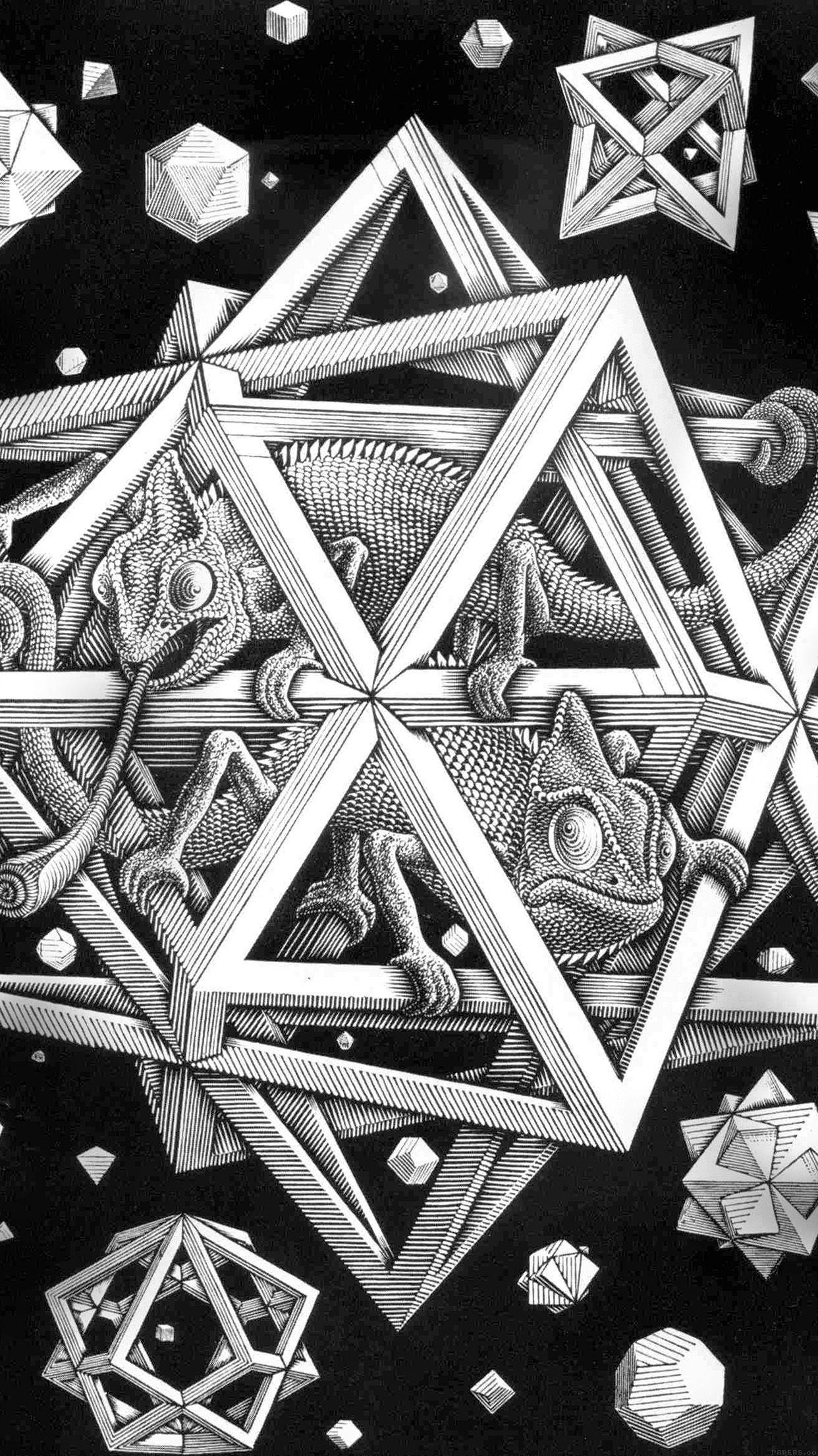1242x2208 Mc Escher Space Art Illust Lizard Bw Android wallpaper