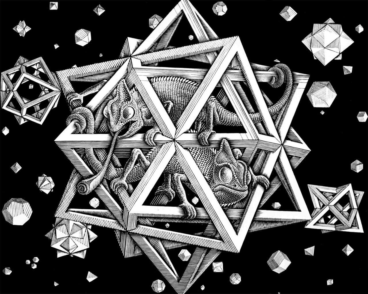 1280x1024 Chameleon in gray star lantern illustration, digital art