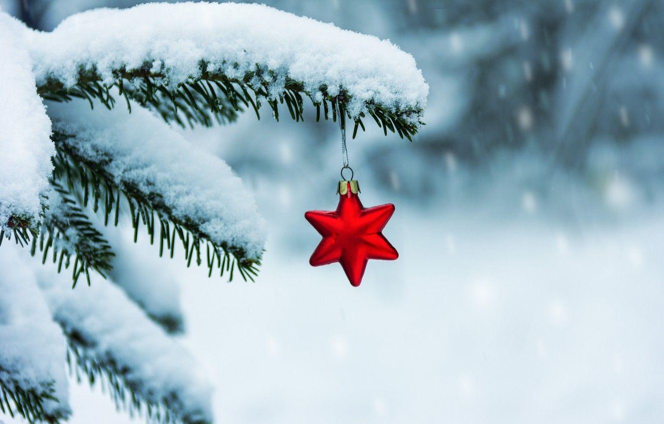 Christmas Winter Wallpapers - Top Free Christmas Winter Backgrounds