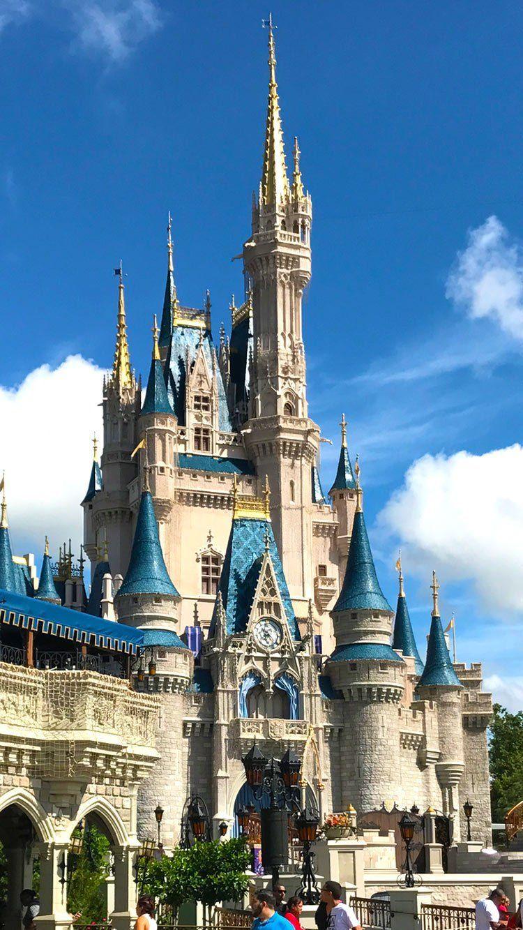 750x1333 Walt Disney World Wallpaper