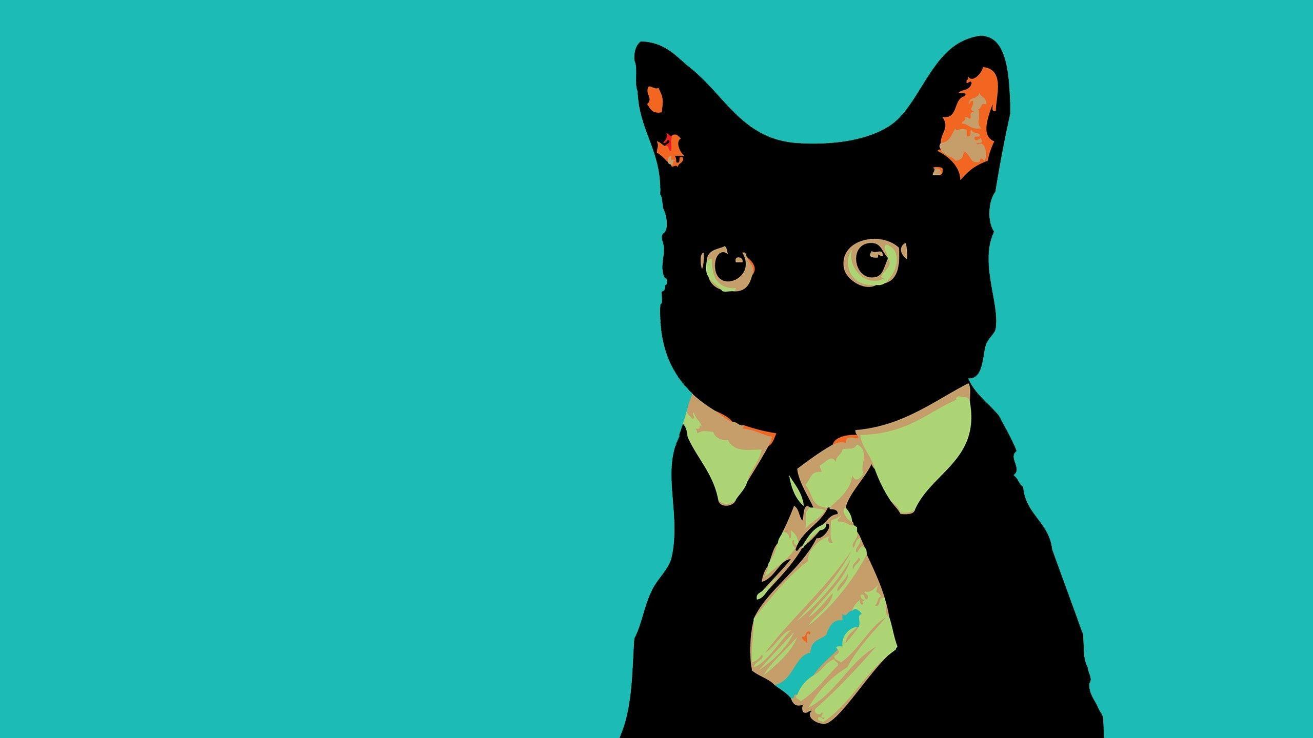 2560x1440 Minimalistic business cat [2560×1440]