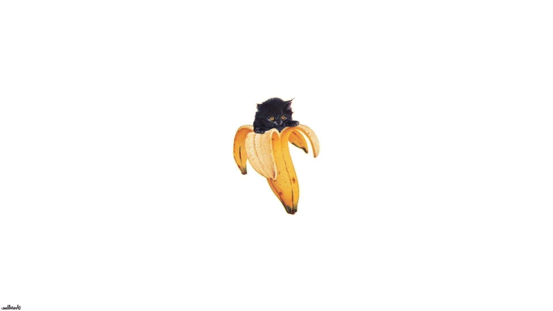 1920x1080 minimalism cat bananas Wallpaper HD / Desktop and Mobile Background